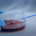 La regola di sicurezza più importante nella scienza: proteggersi in laboratorio